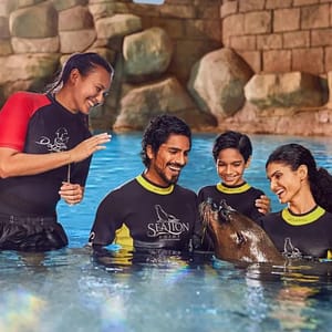 Dolphin Bay Experiences Water Parks