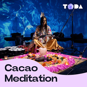 ToDA - Cacao Meditation 360° Theatre of Digital Art