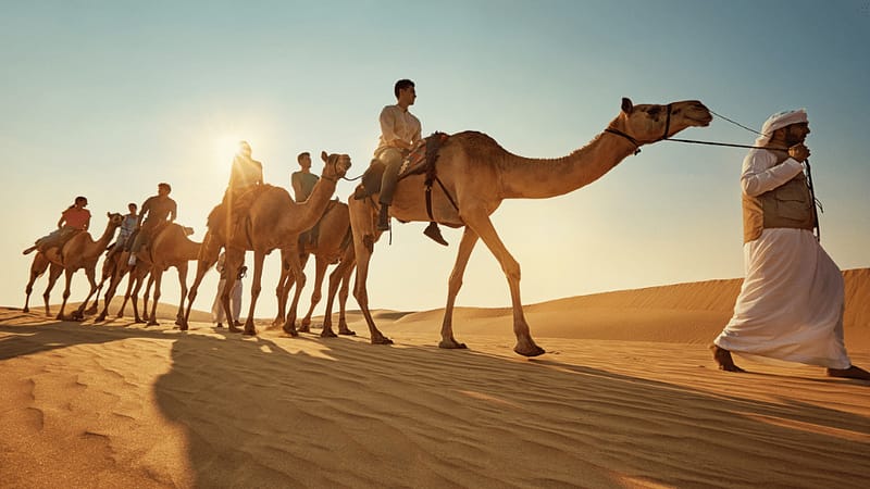 Camel Trekking Experience In Abu Dhabi With Transfers In Land Cruiser - Top-Rated Attractions - Image 2