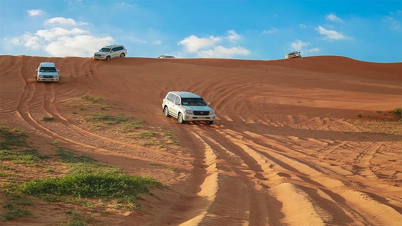 Sand Boarding and a Camel Ride Desert safaris