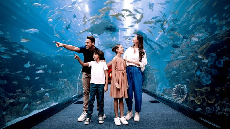 Dubai Aquarium & Underwater Zoo - Ultimate Experience - Experiences - Image 2