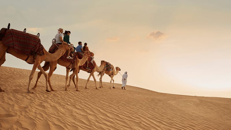 Dubai Sunset Safari Delight with BBQ dinner and camel ride - Desert safaris - Image 2