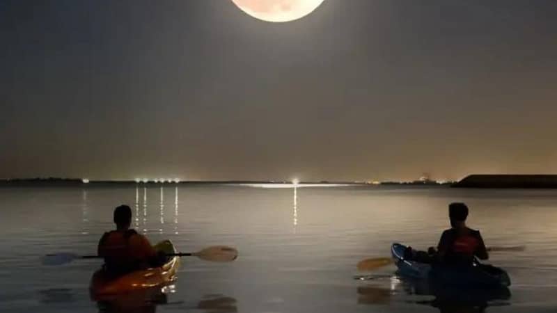 Full moon kayak tour at louvre Abu Dhabi - Water Sports - Image 2