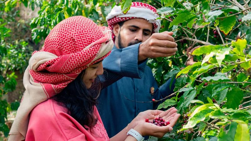 Hike with a local coffee farmer - Recently Added Experiences - Image 2