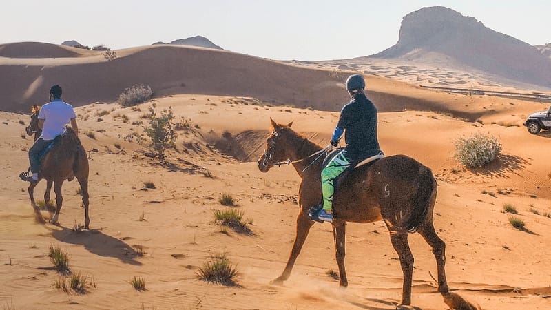 Horse Back Riding Desert Hack - Sports Events - Image 2