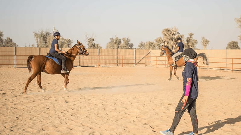 Horse Riding Training Course One Session - Sports Events - Image 2