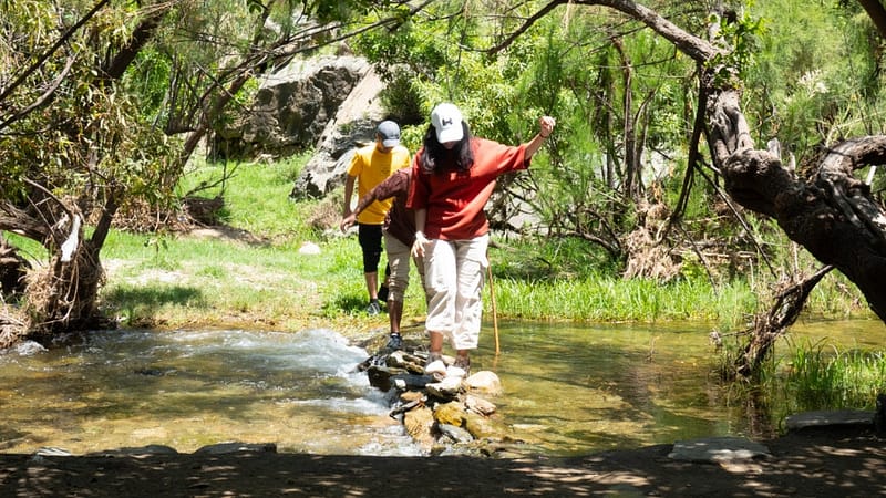 In Hike to the Ain Jamal Waterfall - Recently Added Experiences - Image 2