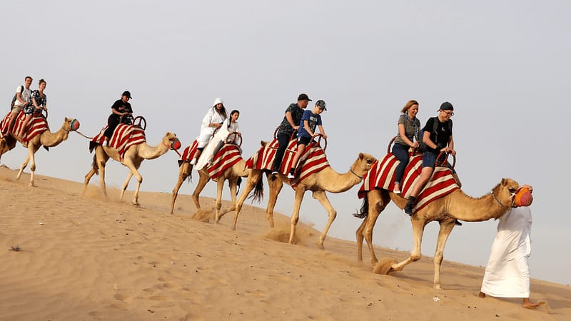 Sand Boarding & Camel Ride Desert safaris