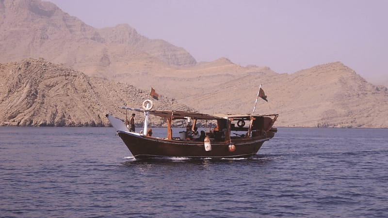 Muscat Dolphin Cruise With Shared Transfers - Recently Added Experiences - Image 2