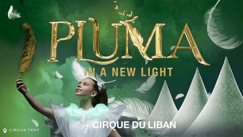 Pluma Show/Circus in Dubai - Shows and Theatrical Plays - Image 2