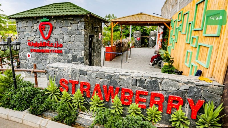 Strawberry Farm - Top-Rated Attractions - Image 2