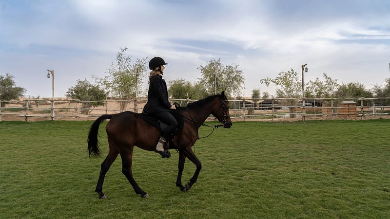 Sunset Horse Riding at Al Marmoom Oasis with a 6-Course Bedouin Dinner - Outdoor Attractions - Image 2