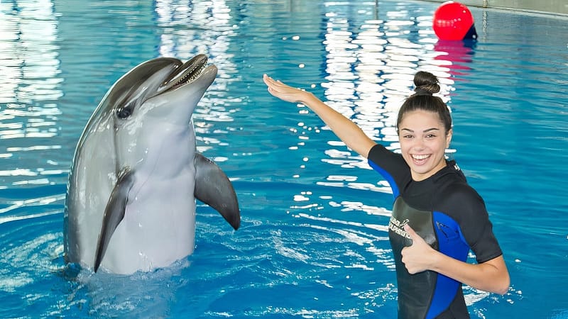 Swimming With Dolphins - Dubai Dolphinarium - Dubai Dolphinarium - Image 2