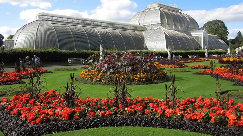 Visit Kew Gardens & 3 Hour Westminster Walking Tour - Recently Added Experiences - Image 2